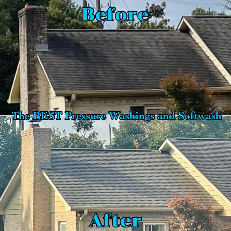 Roof washing in LaGrange Georgia by The Best Pressure Washing and Softwash